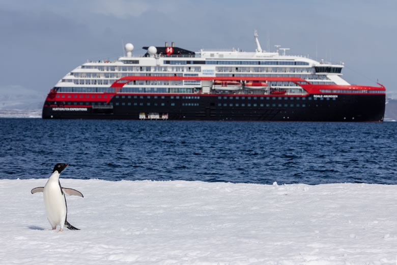 An Adelie penguin in Duse Bay, Antarctica - © Oscar Farrera / Hurtigruten Expeditions