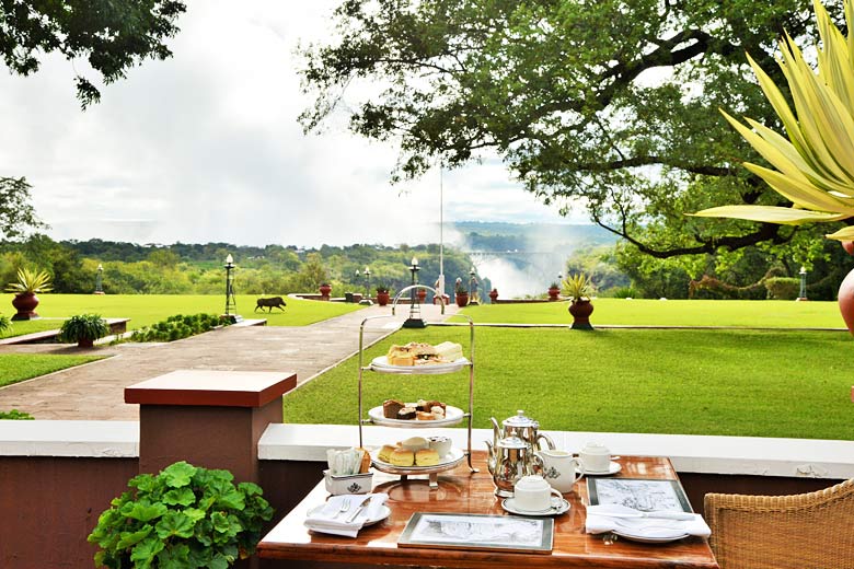 Afternoon tea with passing warthog and bridge view, Victoria Falls Hotel Afternoon tea with passing warthog and bridge view, Victoria Falls Hotel