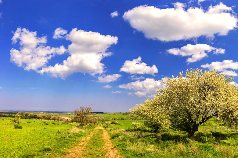 Alta Murgia National Park, Puglia, Italy