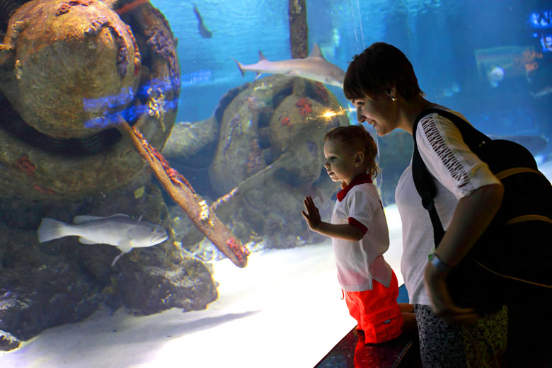 Spy marine life at the Antalya Aquarium