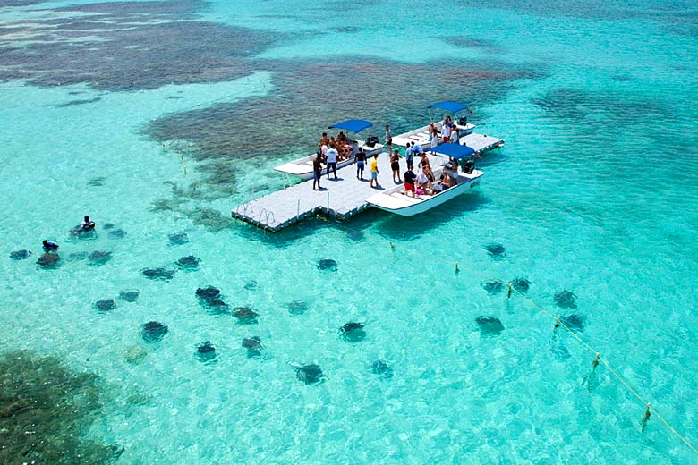 Stingray City, Antigua Stingray City, Antigua