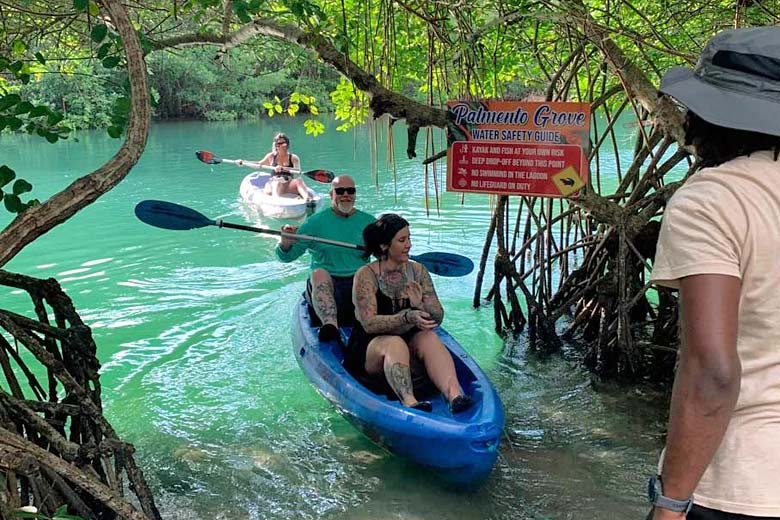 Kayaking into Palmento Grove