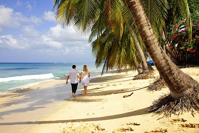 Stroll on the beach on the sheltered west coast, Barbados Stroll on the beach on the sheltered west coast, Barbados