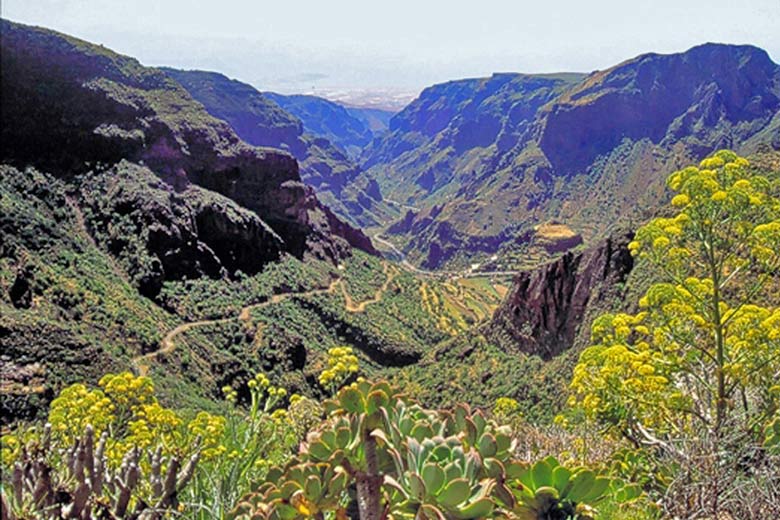 Barranco de Guayadeque, Gran Canaria Barranco de Guayadeque, Gran Canaria