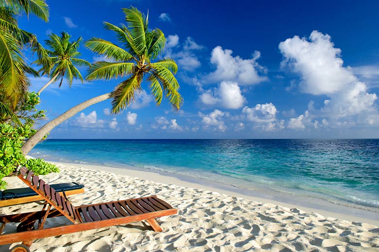 A palm-lined beach in the Maldives, Indian Ocean