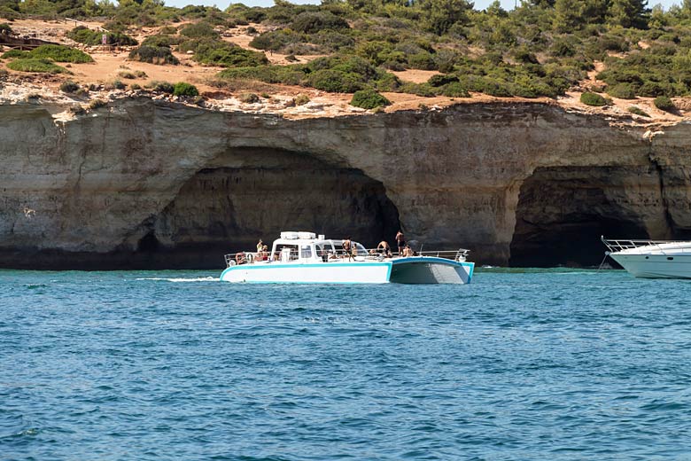 Eyes open for dolphins on the catamaran ride