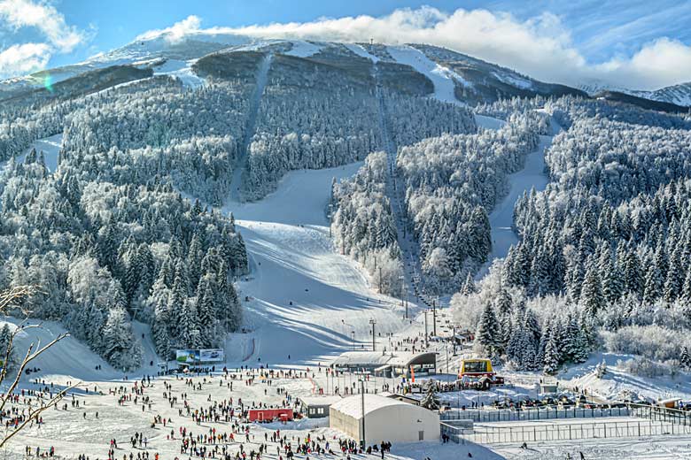 The wooded lower slopes of Bjelašnica