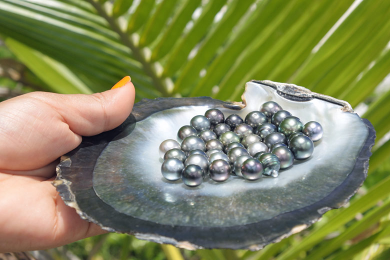 Distinctive Tahitian black pearls
