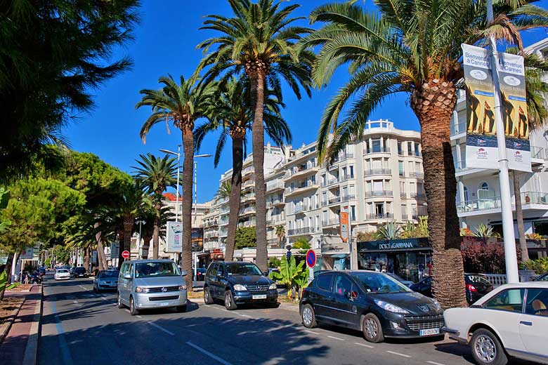 The palm shaded Boulevard de la Croisette in Cannes The palm shaded Boulevard de la Croisette in Cannes
