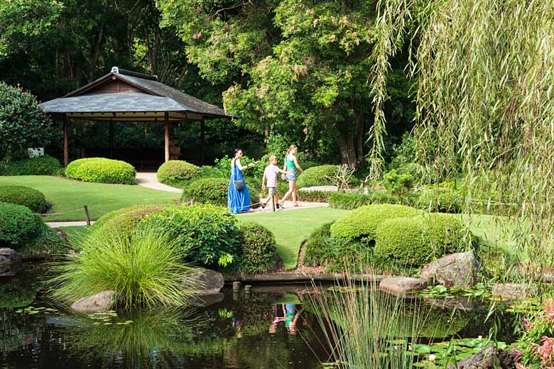 Wander among the greenery of Brisbane City Botanic Gardens