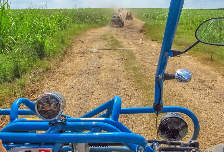 Buggy adventure through canefields, La Romana