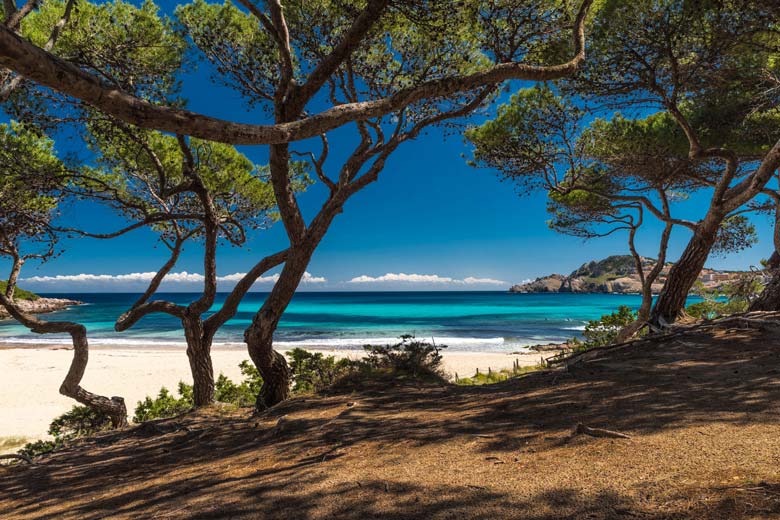 Cala Agulla, Majorca