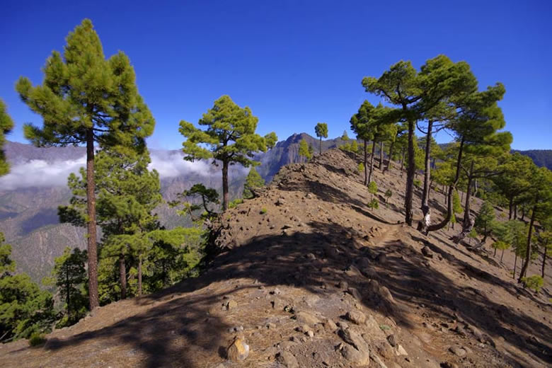 The rim of the Caldera Taburiente, La Palma The rim of the Caldera Taburiente, La Palma