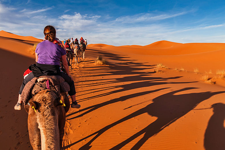 Camel ride through Sahara dunes, Morocco