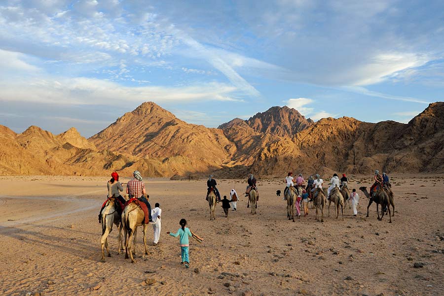 Camels © Kathryn Burrington - TravelWithKat.com