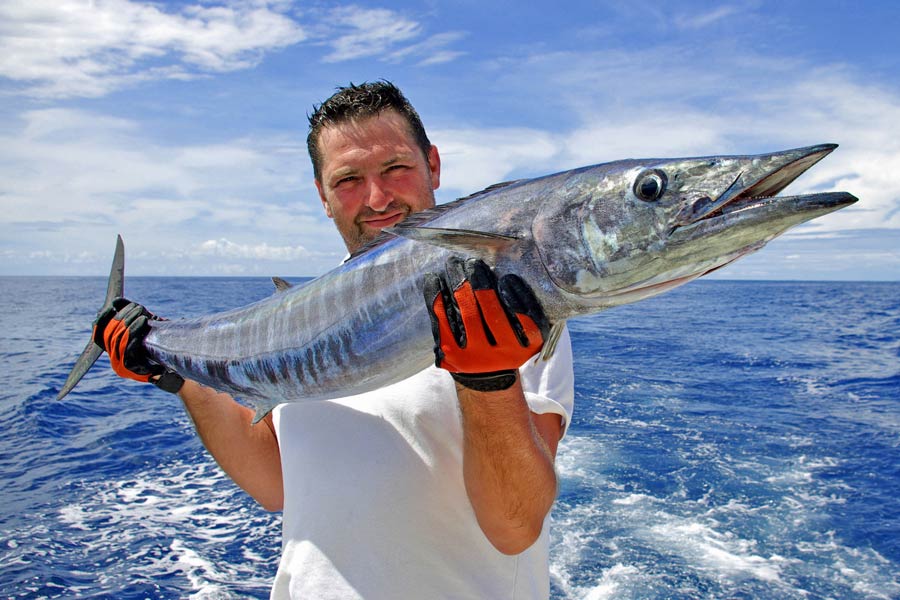 Cape Verde fishing, landing a wahoo