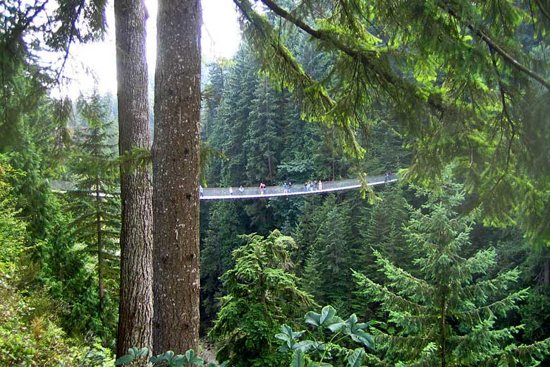 Walking across the Capilano Suspension Bridge, British Columbia Walking across the Capilano Suspension Bridge, British Columbia
