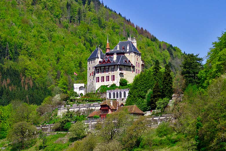 Historic Château de Menthon Saint-Bernard