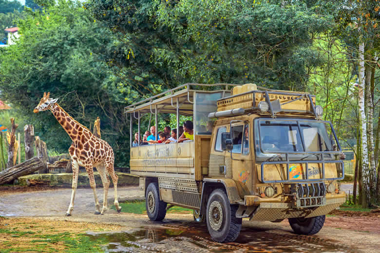 Chessington Zufari ride - Africa safari experience