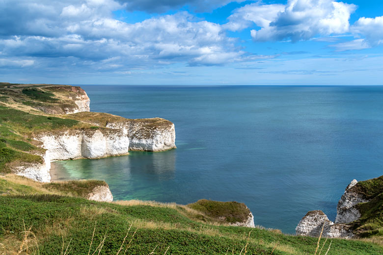 Clifftops at Flamborough Head