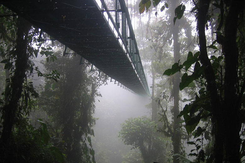 Cloud forest walkway in Costa Rica Cloud forest walkway in Costa Rica