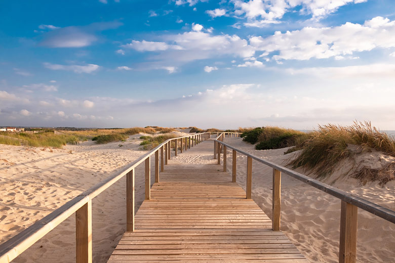 Tread the boardwalk to Praia Costa Nova