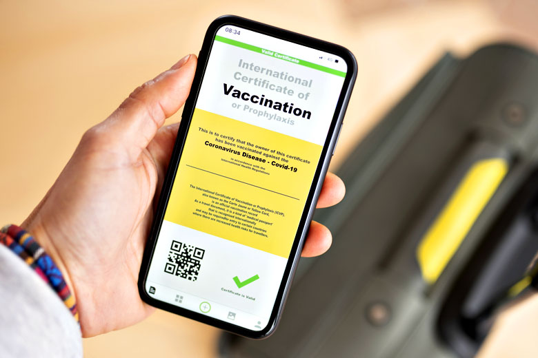 Covid-19 vaccination passport mock-up Covid-19 vaccination passport mock-up