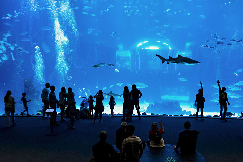 The Deep Ocean tank at Poema del Mar - photo courtesy of Poema del Mar Aquarium