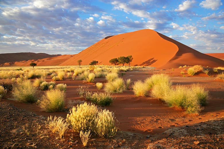 The desert-scape of Sossusvlei, Namibia The desert-scape of Sossusvlei, Namibia