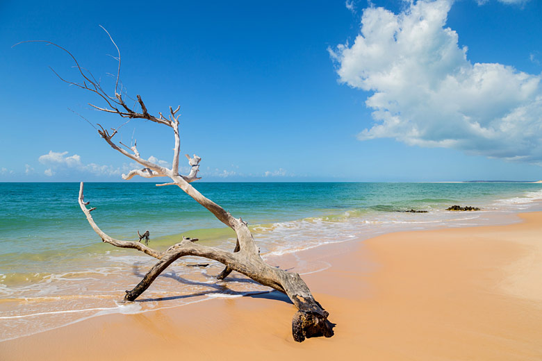 Deserted beach in Mozambique Deserted beach in Mozambique