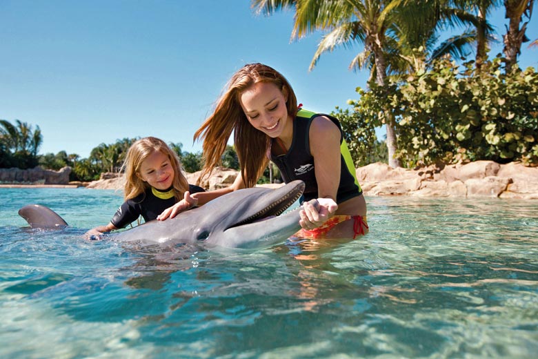 Swimming with dolphins, Discovery Cove © SeaWorld Orlando Swimming with dolphins, Discovery Cove © SeaWorld Orlando