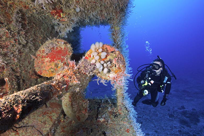 Diving the King Mitch wreck, Grenada © Poelzer Wolfgang - Alamy Stock Photo Diving the King Mitch wreck, Grenada © Poelzer Wolfgang - Alamy Stock Photo