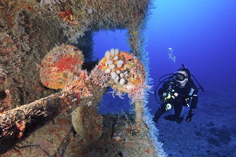 Diving the King Mitch wreck, Grenada