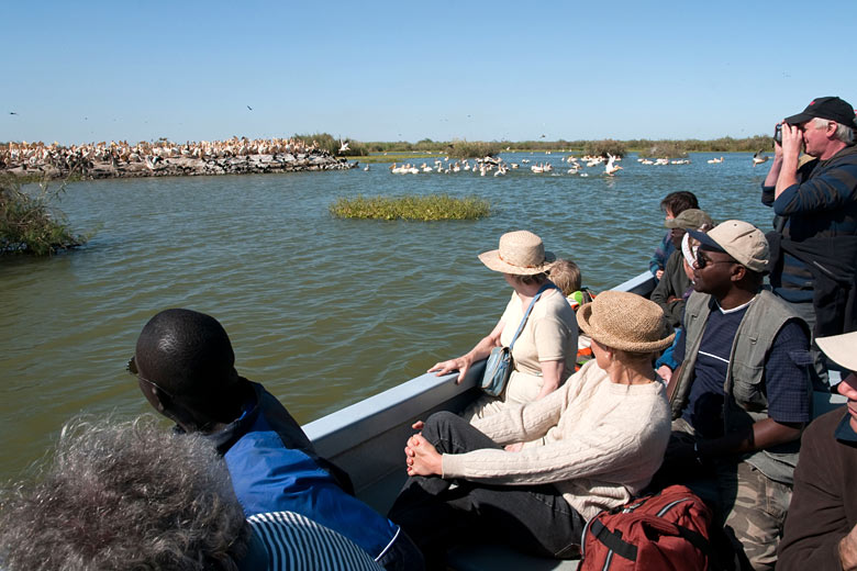 Djoudj National Bird Sanctuary, Senegal Djoudj National Bird Sanctuary, Senegal