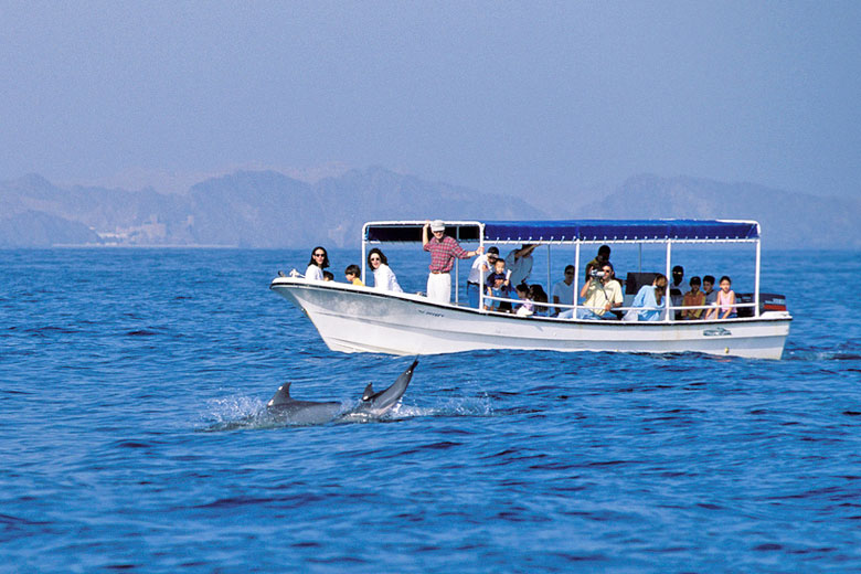 Dolphin watching, Muscat, Oman Dolphin watching, Muscat, Oman