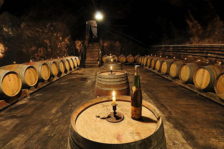 Enjoy wine tasting at the Cave des Hospices Enjoy wine tasting at the Cave des Hospices