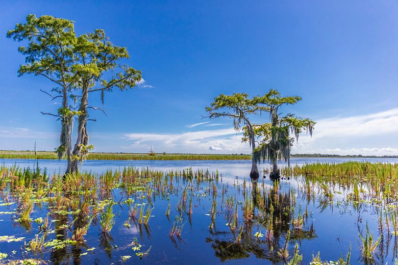 Beauty and drama in Everglades National Park, Florida