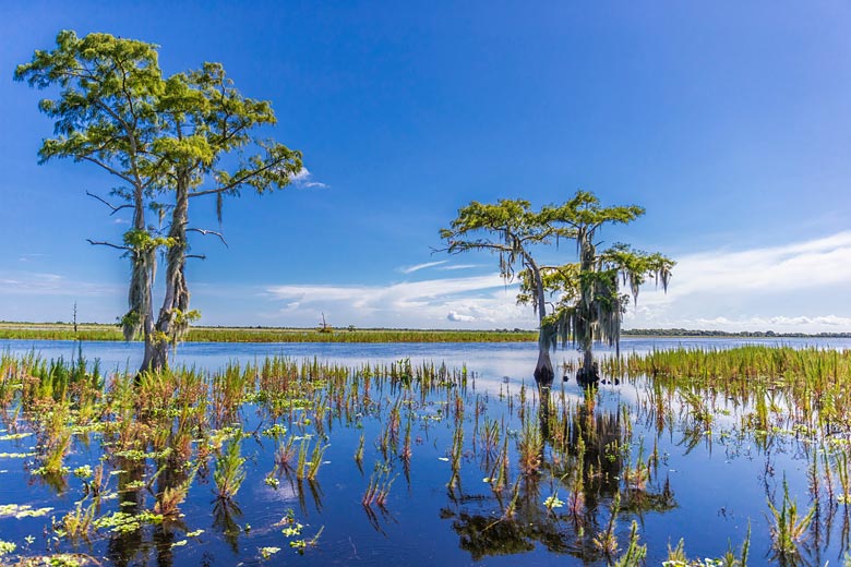 Beauty and drama in Everglades National Park, Florida Beauty and drama in Everglades National Park, Florida