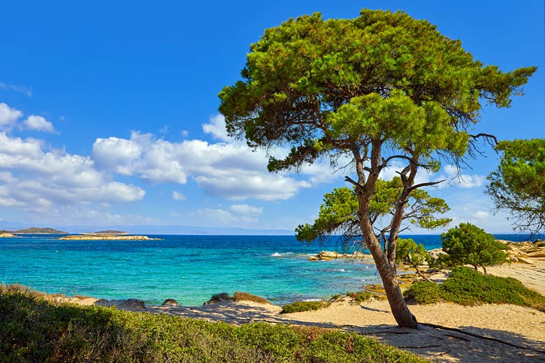 8 must-visit beaches in Halkidiki