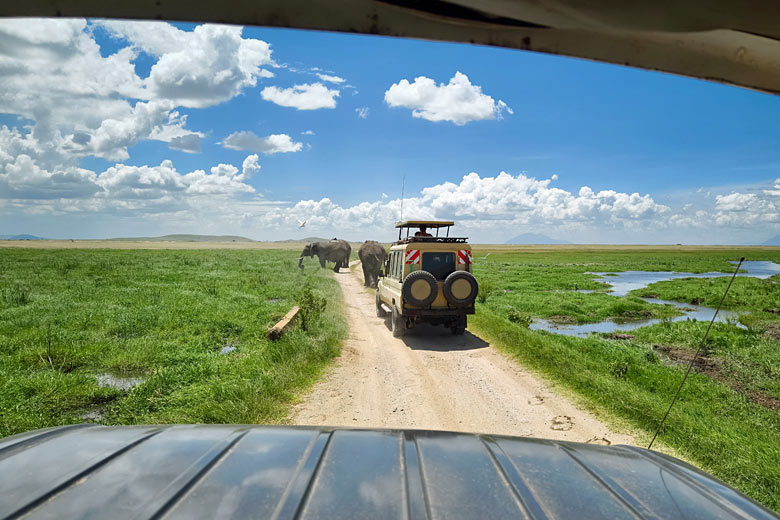 Elephants in the Amboseli National Park, Kenya Elephants in the Amboseli National Park, Kenya