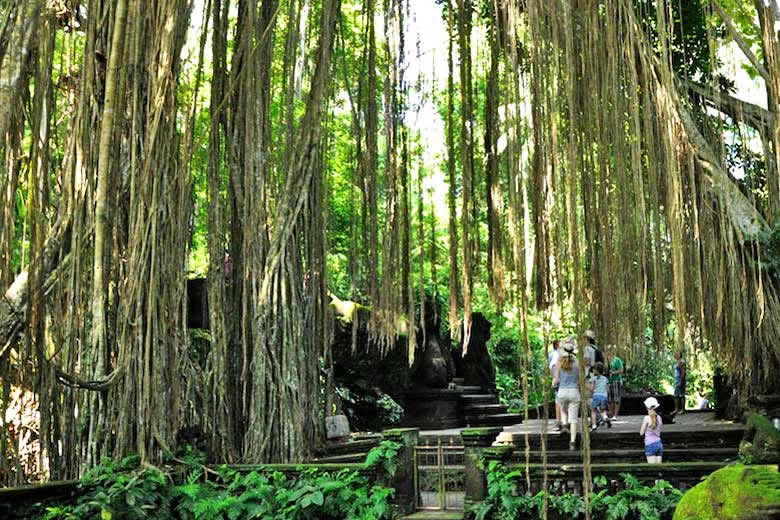 Entering Sacred Monkey Forest  © Mariska Richters - Flickr Creative Commons