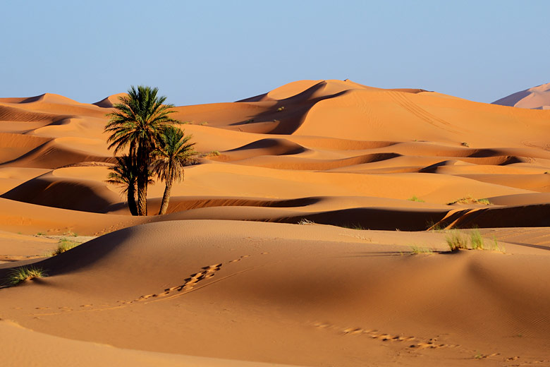 The Erg Chebbi region of Morocco