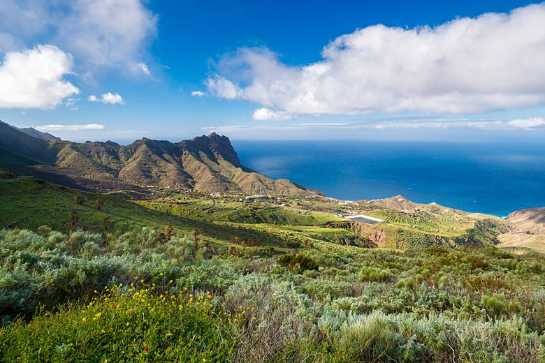 8 experiences exclusive to Tenerife