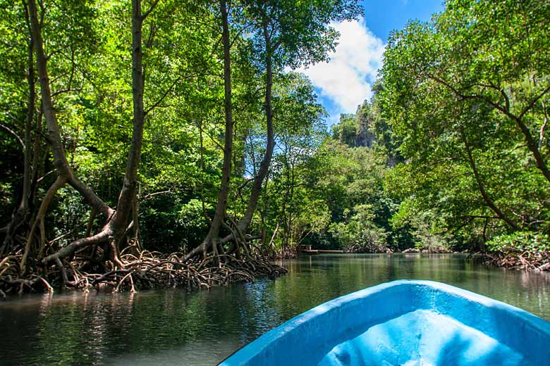 Boat trip through Los Haitises National Park