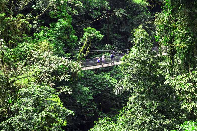 Exploring the forest canopy in Costa Rica