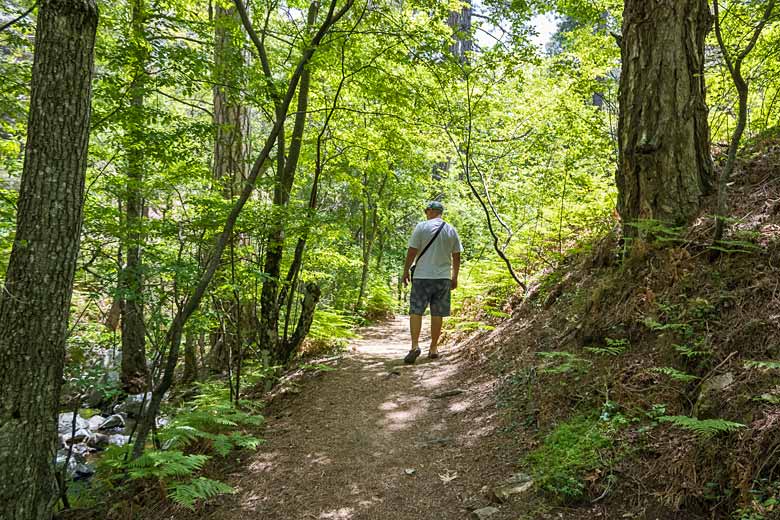 Hit the trails of the Troodos Mountains Hit the trails of the Troodos Mountains