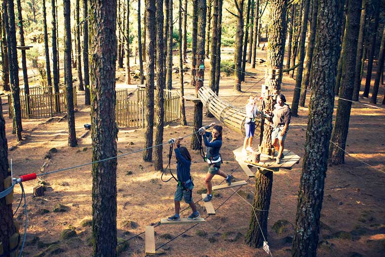 Forestal Park, Tenerife Forestal Park, Tenerife