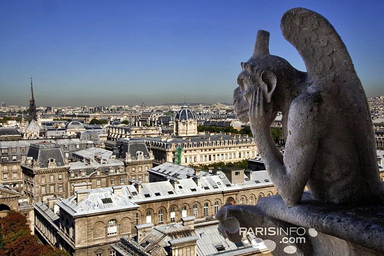 Paris rooftops