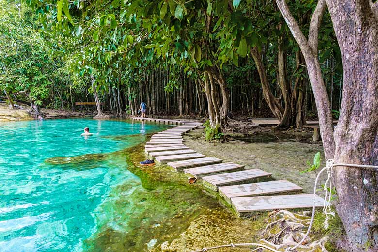 Dip into the Emerald Pool Dip into the Emerald Pool
