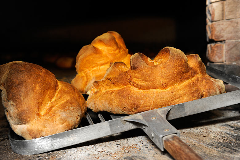 Freshly baked Pane di Matera Freshly baked Pane di Matera
